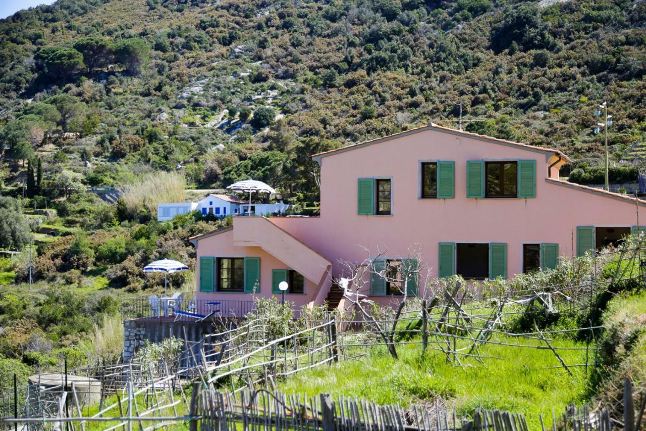 Apartmán Patresi Mare Marciana  Exteriér fotografie